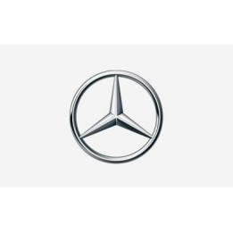 Enjoliveur de sortie d'échappement A0004900900