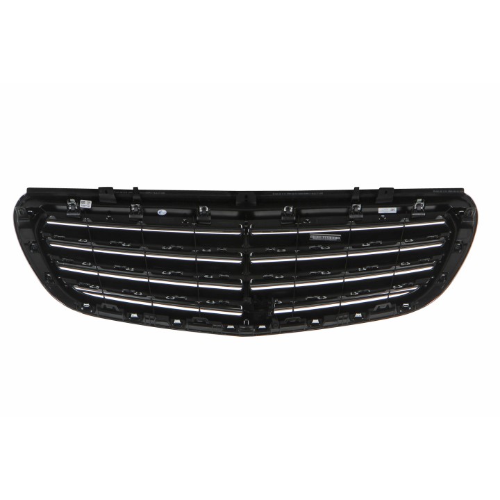 Calandre SRV A2138802003