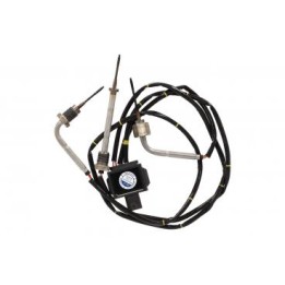 Capteur température des gaz d'échappement A0009053806