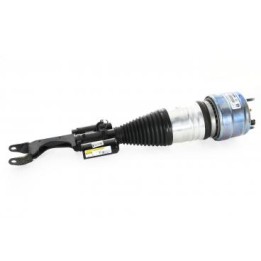 Amortisseur V jambe de suspension pneumatique 4M A2533208001