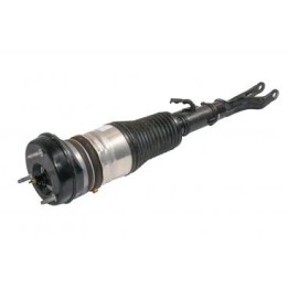 Amortisseur V jambe de suspension pneumatique A2543209502