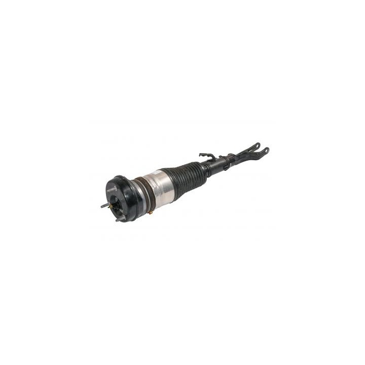 Amortisseur V jambe de suspension pneumatique A2543209502