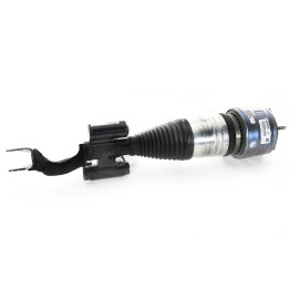 Amortisseur V jambe de suspension pneumatique 4M A2533207901