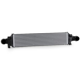 refroidisseur d'air de suralimentation A2465000600