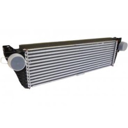 Refroidisseur d'air de suralimentation OM651/OM642 A6395011301