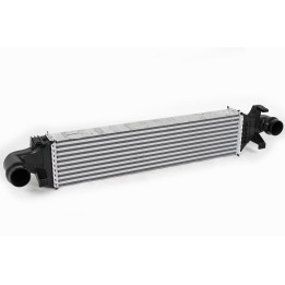 refroidisseur d'air de suralimentation A2465000100