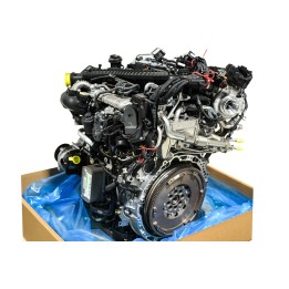 Moteur diesel 654920 A6540101310