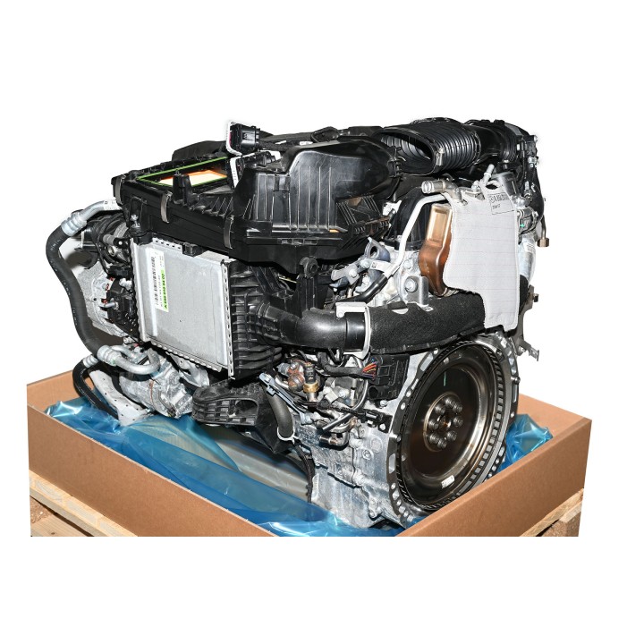 Moteur diesel 656929 A6560109402