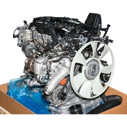 Moteur diesel 651958 A6510101430