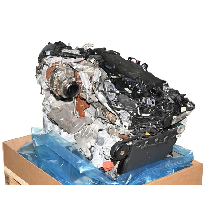 Moteur diesel 656929 A6560108701