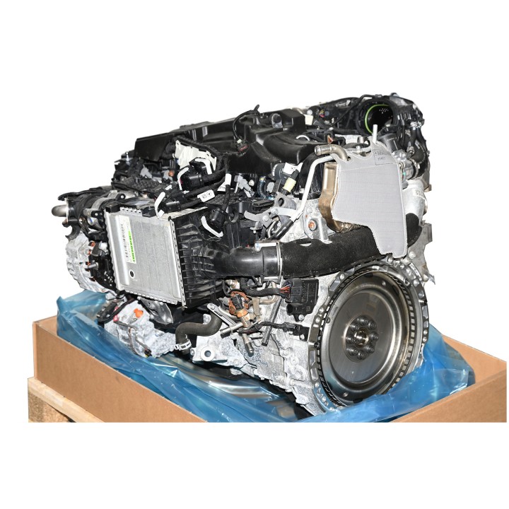 Moteur diesel 656929 A6560108701